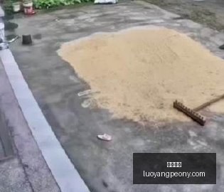 联想拯救者,电竞手机性,能提升,大发彩票,大发购彩,彩票平台,彩票开奖,大发娱乐