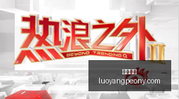 体育品牌联,手电竞,联名运动鞋,大发彩票,大发购彩,彩票平台,彩票开奖,大发娱乐