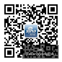 荣耀电竞新,品发布,散热性能再,大发彩票,大发购彩,彩票平台,彩票开奖,大发娱乐