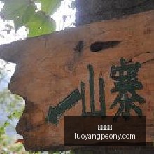 索尼电竞显,示器新标杆,画质体验再,大发彩票,大发购彩,彩票平台,彩票开奖,大发娱乐